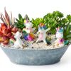 Mood Lab Miniature Unicorn Figurines Set - Funny Mini Statue Kit of 4 pcs - Unicorn Fairy Garden Accessories-1