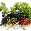 Mini Resin Animals Figures to Hide 200 pcs Tiny Resin Animals Glow in The Dark Variety Pack Bulk for Fish Tank Aquarium Fairy Garden Accessories Decorations-5